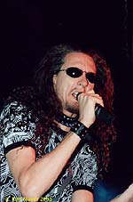 33,7 KB (34.559 Bytes)