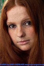 48,9 KB (50.169 Bytes)