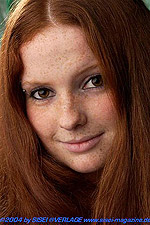 48,9 KB (50.163 Bytes)